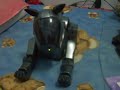 Sony Aibo ERS-210