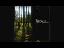 Firnwald - Nebelgew�nder