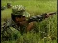 truth-tigers-sri-lanka.html