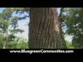 Wooded Acreage in Texas - King Oaks Testimonial