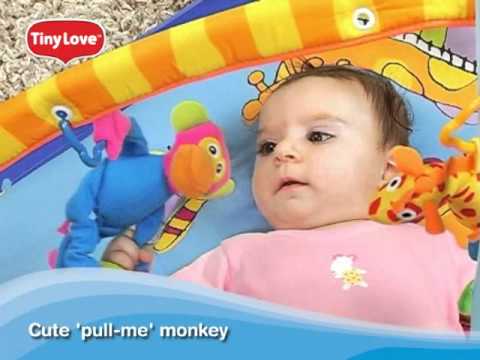 Is The Tiny Love Gymini Super Deluxe Play Gym Suitable For Small Children? Is The Tiny Love Gymini Super Deluxe Play Gym Suitable For Small Children?