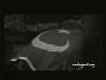 Bil oğlum - Esat Kabaklı