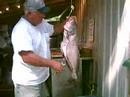 How2 skin a Santee Cooper Catfish