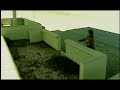 Vato - 123 Parkour [Trailer]