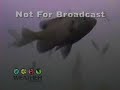 Gone \"Underwater\" Fishing Gone \"Underwater\" Fishing