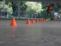 Slalom no ibira - � n�iss!!!