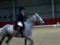 Dressage- Lisa- Glasow Comp