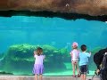 abi kids shark tank