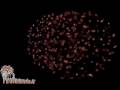 castro_2008_mega.wmv