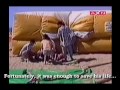 Man Plummets From Bungee Platform! Man Plummets From Bungee Platform!
