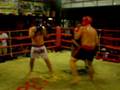 videos de Joe Boxing Reggae Bar 2