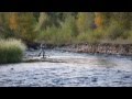 Heber Valley and Midway - Utah.mov