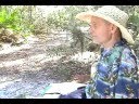 A Call to Immunics 2 -- CureDrive.org