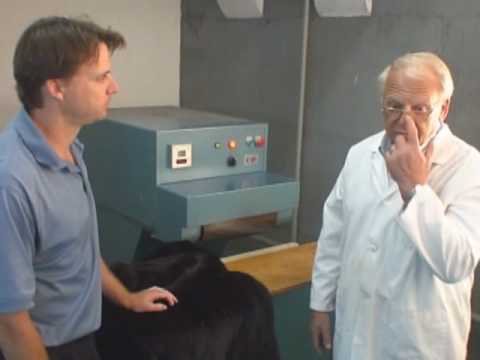 video-linktoworks-How to Clean a Fur Coat - Part 2 - www.franksfurs.com