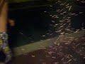 a la casa de al lado