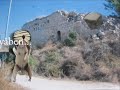 Egern vs Stinkdyr nazi