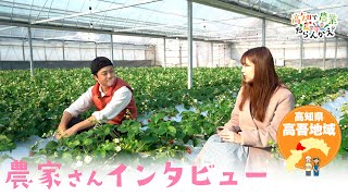農家さんインタビュー(高吾地域)