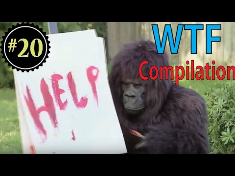 Thumbnail for video 2-9RwCpiwKk