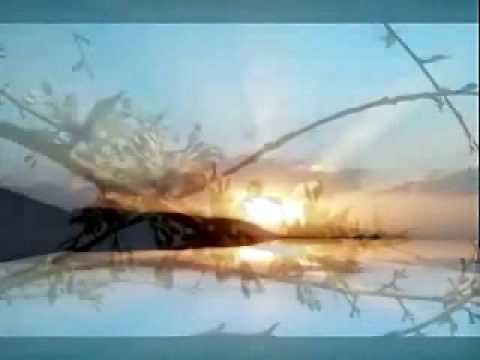 Mooji Audio: Living An Unconditional Life