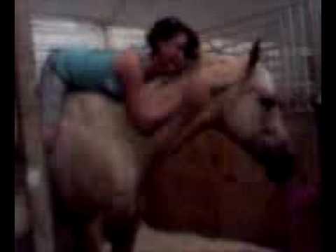 wooden pony torture