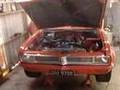 V8 viva