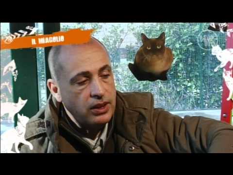 Vedi il video