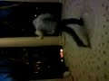 kinkin jumpstyle kinkin jumpstyle