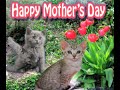 HAPPY MOTHER\