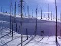 Some guy on a snowmobile who didn't go down the REALLY small hill and crashes into a tree. idiot