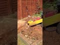 Click here to watch this video Stump grinding tree stump removal