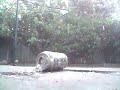 glovegun into a can of water at 120 fps