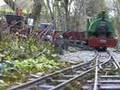 Coal fired Bagnall with tipper trucks