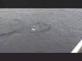 LochNess Monster CAUGHT ON TAPE!!!!!!