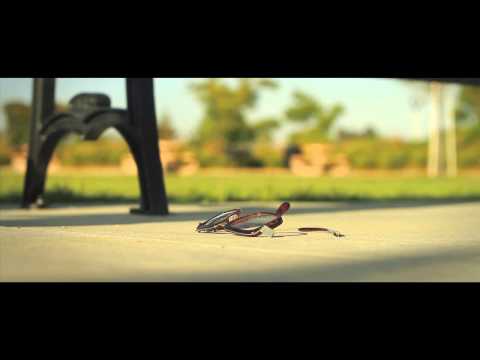 Faith | a short film Faith | a short film