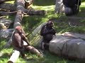 King Kong 2