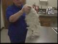 videos de Wayward South Florida Dog Returns Home