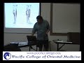 pcom anatomy 1 final review 7 16 08 p8