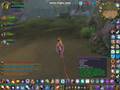 videos de Warsong Gulch battle
