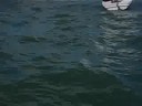 entrainement laser VBM du 13/09/08 : les videos voile