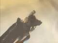 Final Fantasy Advent Children- Du Riecht So gut