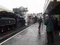 Two Tones & Steam Whistles