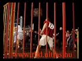 Videoton - Újpest