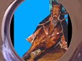 The X-treame Sport of Barrel racing