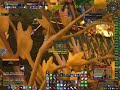Redrum vs Archimonde