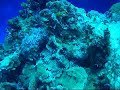 Cozumel Dive 3MP Camera Mask Test
