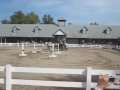 This video shows two Norwegian Fjord horses being "driven", meaning they are pulling a wagon with riders. Their skill in turning sharply and obeying commands is amazing. Of the two women driving the horses, one is issuing commands and telling the horses when to turn, and the other is using her weight to balance the wagon and help it turn sharply between the obstacles.
It looks slow in the video, but in real life it was very fast-paced. Everyone cheered loudly for the Norwegian Fjords and their handlers when they finished this demonstration.

More at: http://fautrever.com/2007/12/18/kentucky-horses. - Norwegian Fjord Driving, Kentucky Horse Park