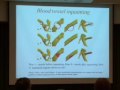 Presentation by Prof Shen Zuowei