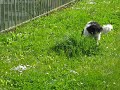 Hiro - 2008_04_26 - 002 - Luxembourg
