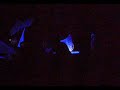 KiloWatts,Bluetech,Gift Culture @ Ceruleus