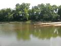 Cumberland River in Bakerton Kentucky